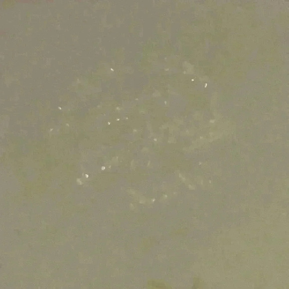 Fire King Milk Glass w/ Gold Trim Relish Dish - Picture 5 of 6